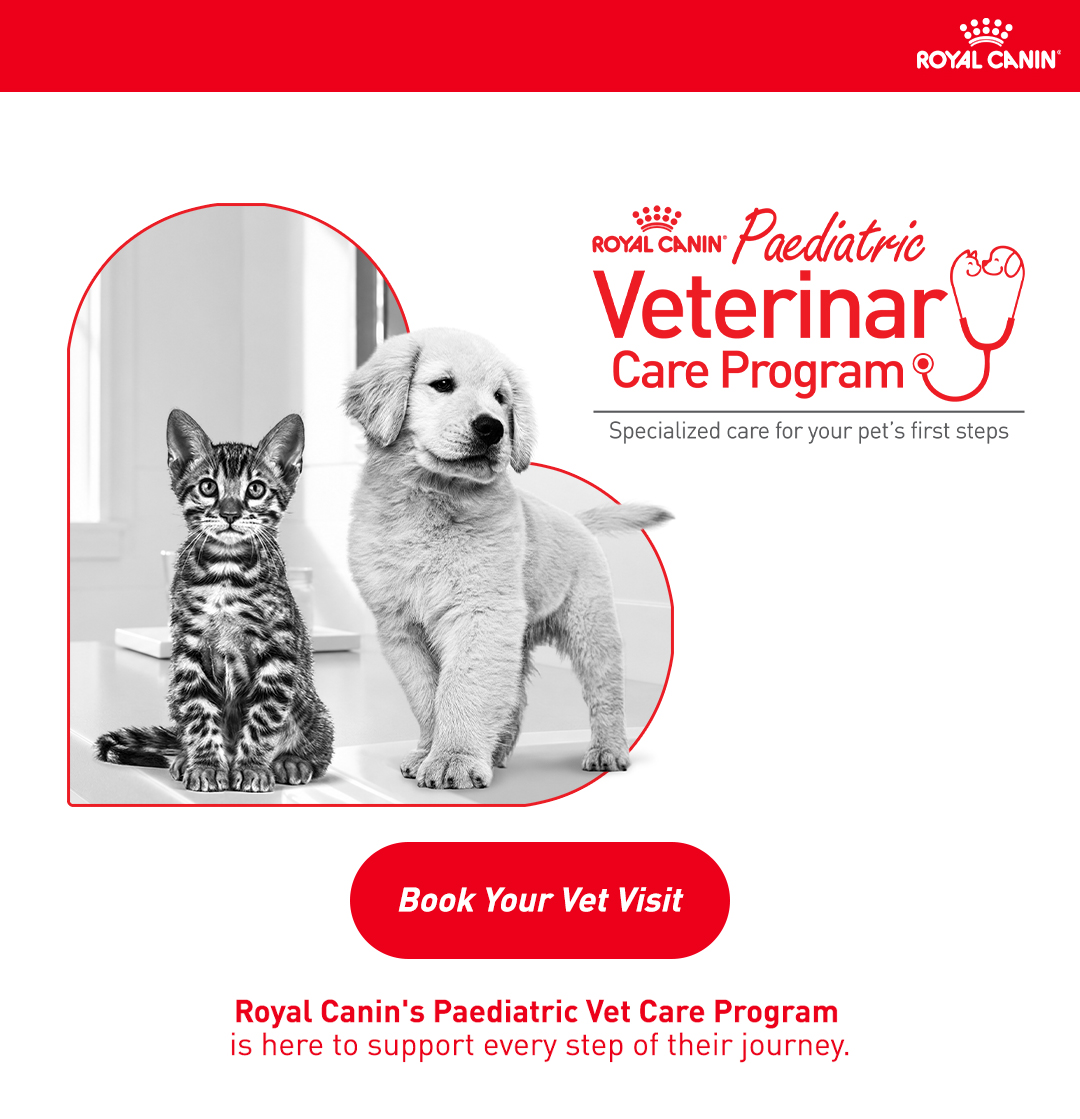 Royal Canin Paediatric Veterinary Care Program - Book Your Vet Visit